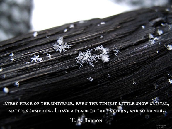 Image:  http://en.wikipedia.org/wiki/Snow